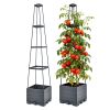 2-Pack Raised Garden Bed Boxes with Adjustable Trellis – Self-Watering Tomato Planters, 56 in, Grey