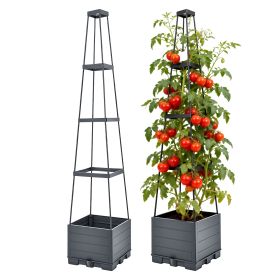2-Pack Raised Garden Bed Boxes with Adjustable Trellis – Self-Watering Tomato Planters, 56 in, Grey