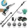 2-in-1 8 in Cordless Electric Pole Saw and Mini Chainsaw – Adjustable Length with 4 Extension Poles and 2 × 21V 3.0Ah Batteries