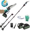 2-in-1 8 in Cordless Electric Pole Saw and Mini Chainsaw – Adjustable Length with 4 Extension Poles and 2 × 21V 3.0Ah Batteries