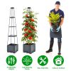 2-Pack Raised Garden Bed Boxes with Adjustable Trellis – Self-Watering Tomato Planters, 56 in, Grey
