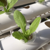 Vertical NFT Hydroponic System with 108 Sites – PVC Tube Kit