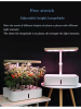 Intelligent Mini Hydroponic Grow Box with Full-Spectrum Light