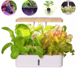 Intelligent Mini Hydroponic Grow Box with Full-Spectrum Light