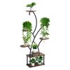 Indoor Plant Stand with Grow Lights – 62 in Tall, 8‑Tier Lighted Metal Shelf