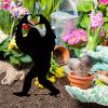 Funny Bigfoot Garden Statue – Cartoon Outdoor Décor, Unique Gift