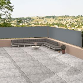 Retractable Side Awning Anthracite 46.1"x472.4"
