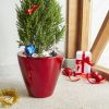2‑Pack Smart Self‑Watering Planter Pots – Red, Round Cone