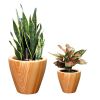 2‑Pack Light Wood‑Look Self‑Watering Planter Pots – 10" Square Plastic