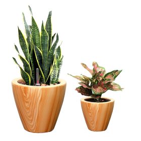 2‑Pack Light Wood‑Look Self‑Watering Planter Pots – 10" Square Plastic