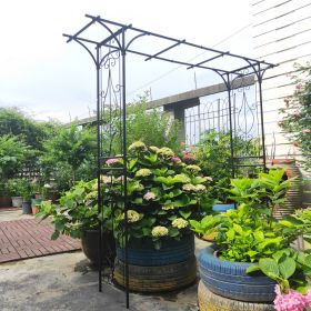 Metal Garden Arch Garden Arbor Trellis Climbing Plants Support Rose Arch Black
