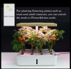 Intelligent Mini Hydroponic Grow Box with Full-Spectrum Light