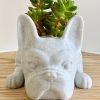 Mini Resin French Bulldog Succulent Planter