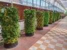8-Layer Pineapple Tower Aeroponic Garden – 64 Plants