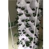 10-Layer Aeroponic Pineapple Tower Garden – 80-Plant Vertical System