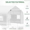 20 x 10 x 7 ft Large Tunnel Greenhouse Walk‑In Warm House with Roll‑Up Door