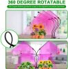 Indoor Gardening Table Grow Light with Timer