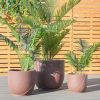 Faux Cement Pattern Planters with Drainage – Set of 3