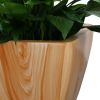2‑Pack Smart Self‑Watering Planter Pots – Light Wood, Square Cone