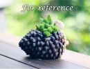 Pine Cone Resin Succulent Planter