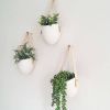 Self-Watering Indoor Ceramic Bonsai Planter
