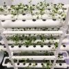 Vertical NFT Hydroponic System with 108 Sites – PVC Tube Kit
