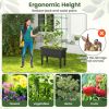 Self-Watering Elevated Garden Bed with Climbing Trellis