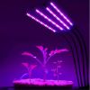 Indoor Gardening Table Grow Light with Timer