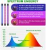 Indoor Gardening Table Grow Light with Timer