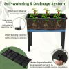 Self-Watering Elevated Garden Bed with Climbing Trellis