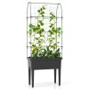 Self-Watering Elevated Garden Bed with Climbing Trellis