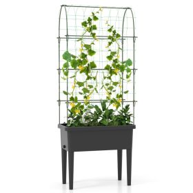 Self-Watering Elevated Garden Bed with Climbing Trellis