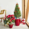2‑Pack Smart Self‑Watering Planter Pots – Red, Round Cone