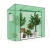Outdoor Portable Walk‑In Greenhouse with PE Cover & Roll‑Up Zipper Door – 6.6 x 2.5 x 5.6 ft