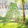 Foldable A-Frame Trellis Plant Supports – 2 Pieces with Twist Ties