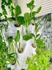 8-Layer Pineapple Tower Aeroponic Garden – 64 Plants