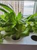 3-Layer 42-Hole Vertical Hydroponic System with LED Light