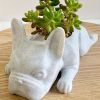 Mini Resin French Bulldog Succulent Planter