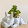 Mini Resin French Bulldog Succulent Planter