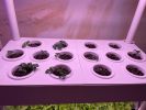 3-Layer 42-Hole Vertical Hydroponic System with LED Light