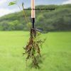 Manual Garden Weeder Rake with Foot Pedal & Claw Head