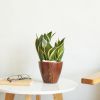 2‑Pack Dark Wood‑Look Self‑Watering Planter Pots – 10" Square Plastic