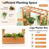 Raised Garden Bed with Trellis and Hanging Pot Options