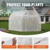 Walk‑In Tunnel Greenhouse Hot House with Galvanized Steel Frame & PE Cover – 9.6 x 6.4 x 6.2 ft