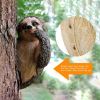 Sloth Tree Hugger Resin Garden Sculpture – Tree Peeker Decoration