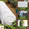 White Plant Covers for Freeze Protection – 10 x 30 ft, 50 GSM PP Frost Cloth