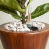 2‑Pack Dark Wood‑Look Self‑Watering Planter Pots – 10" Square Plastic