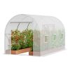Walk‑In Tunnel Greenhouse Hot House with Galvanized Steel Frame & PE Cover – 9.6 x 6.4 x 6.2 ft