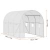 Walk‑In Tunnel Greenhouse Hot House with Galvanized Steel Frame & PE Cover – 9.6 x 6.4 x 6.2 ft