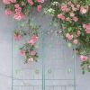 2‑Pack Metal Garden Trellis – 71" x 19.7", Green Rustproof Supports